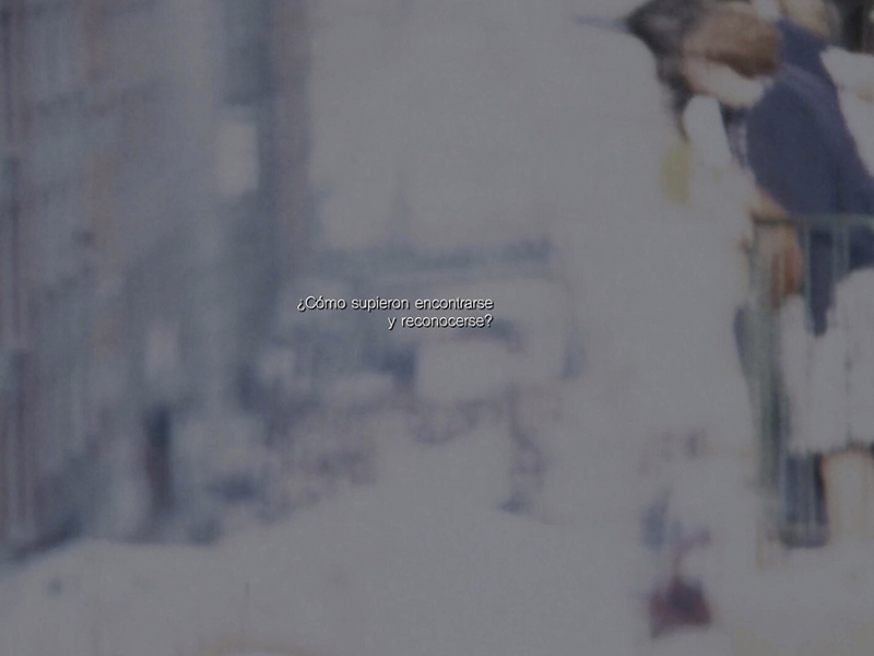 CROP__0000s_0008_Photo 4 2_LA_RAIZ
