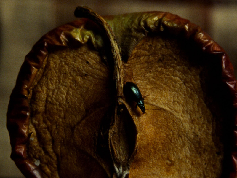 Crop__0000s_0000_Photo 5 Olivia_Still_5