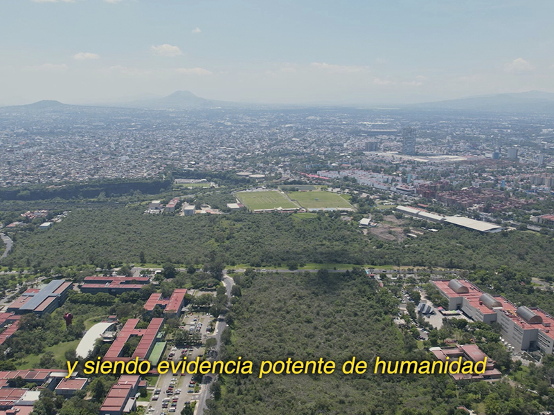 Crop__0000s_0006_Photo 6 Captura_de_pantalla_2025-12-23_a_las_6.13.52_p.m.